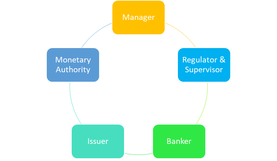 function of the rbi